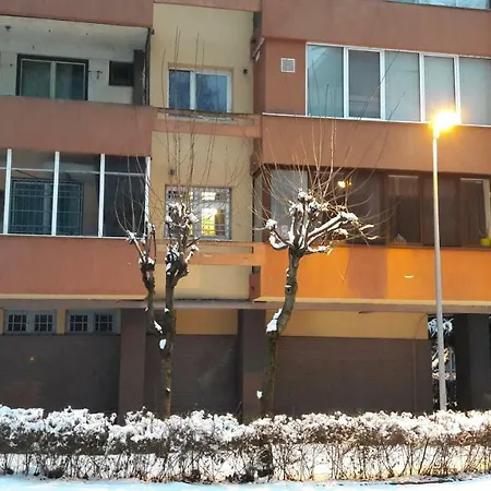 Zozo Studio Брашов